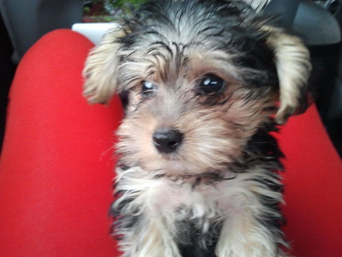 EASTFLOFINEST's profile picture. 