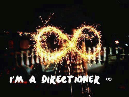 soy una persona que ama a 1D y que cada  vez que escucha una cancion de se vuelve loca y si soy directioner y estoy orgullosa!!