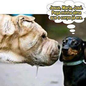 dfsdfsdfsdf