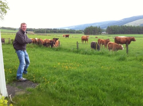 markodav86's profile picture. Evertonian