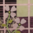 Kelltrek's profile image