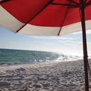 Laura Bethea - @lbethea4 - Twitter