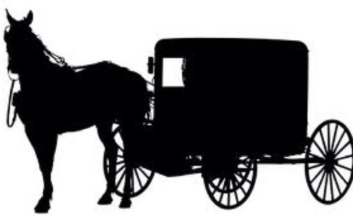 rmedinaflores's profile picture. 