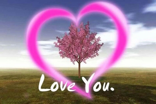 hamoodalshm's profile picture. 