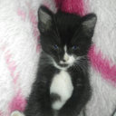 kandy thomas - @kandyjanethomas - Twitter