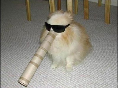 pewekelly's profile picture. Random is what makes things Fun :-D