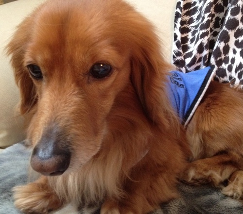 mackeymakimaki's profile picture. 旅行と食べること大好き🍣有酸素、ヨガ、筋トレで身体を整えながら、飲んだくれ。ワインと日本酒どちらも飲みます🍷🍶