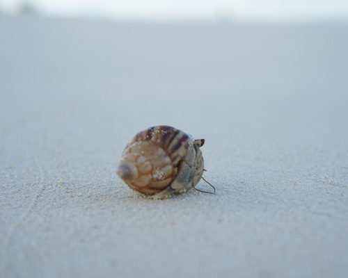 kamo_603's profile picture. 美味しい物探して食べ歩き、Barで一息ついて写真・沖縄・宮古島が好きかなぁ  南国に住みたい