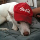 Matt Lingle - @66Nemo - Twitter