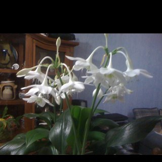 NoemiGuizar's profile picture. 