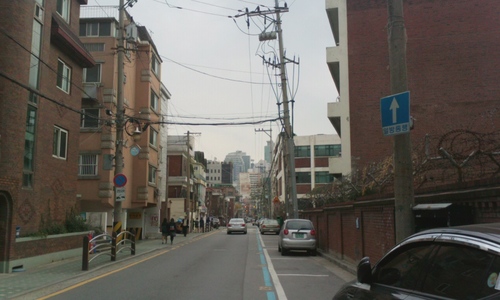 나-잡동사니-동물학대반대-웹툰 = 개구리 뱃가죽