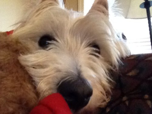 lcrowe2108's profile picture. 