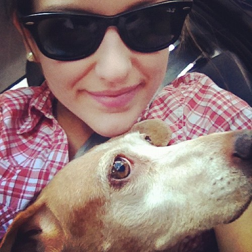 fckeferab's profile picture. Fc desde o dia 19/12/2011. Donas: @fraavs e @pqp_gii :)