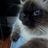 Hunter555's profile image