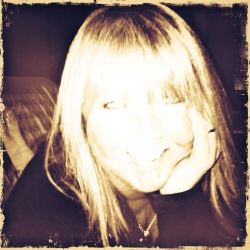 sheshercat's profile picture. 