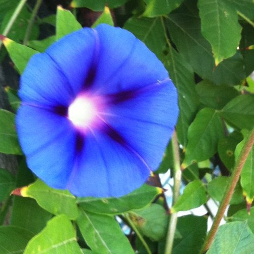 beniaminatarga's profile picture. 