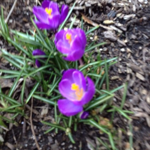 TimAdamsCIMA's profile picture. Financial Advisor