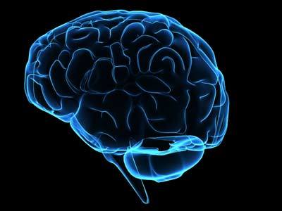 Neuroscience, Brains, the Internet, cryptography, nanobots, solar energy, technology, the Darknet, alt. currency like Bitcoin, and SCIENCE rock my world.