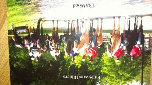 APerry823's profile picture. 