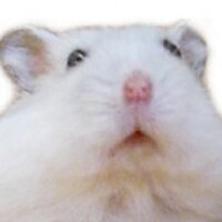 まうまう (@tmg08) 's Twitter Profile