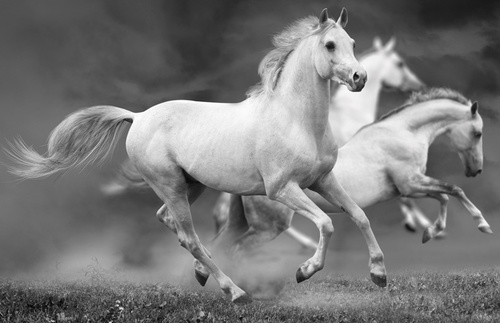 p_sharma75's profile picture. 