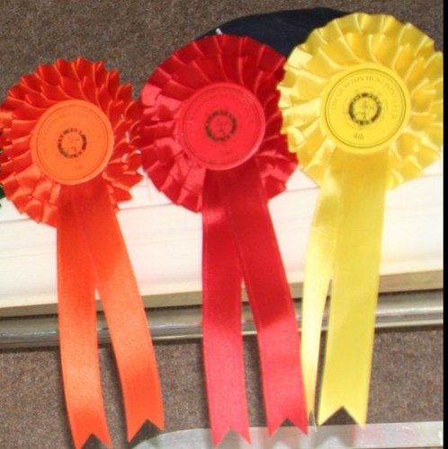 Avid supporter of all Equestrian disciplines, insatiable list writer and mother of 3 with hopes of competing in 2015 as the excuses have run out!