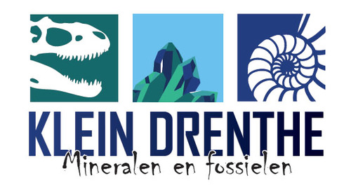 dir.Klein Drenthe /mineralen/fossielen/crystal/gems/workshops