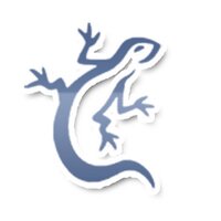 RFUK (@reptileforumsuk) 's Twitter Profile