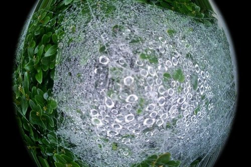 ernst48's profile picture. I've got a fuzzbox and I am gonna use it! 🎸