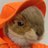 Alfinger25's profile image