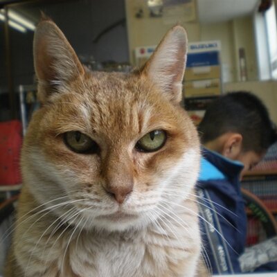 ⭐︎ヤマ⭐︎ ヤマYama (@kazuki7344) / Posts / X