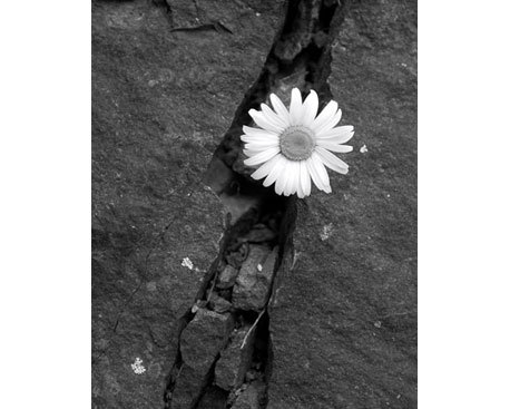 cafesuasn's profile picture. 