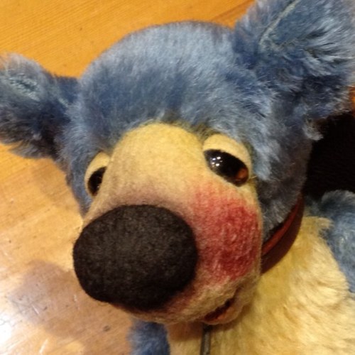 terarinsan's profile picture. 