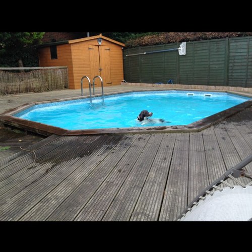 julesanddell's profile picture. 