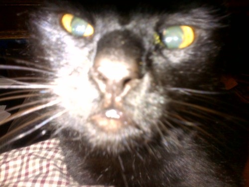 RichardAHWhite's profile picture. Lawyer. Sport. Culture.