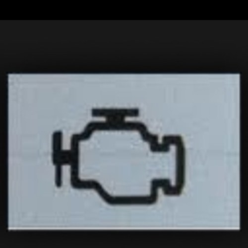 alonamiga's profile picture. 