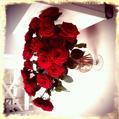 harminterieur's profile picture. Bezoek mijn website 
Net even anders  
Bij mij telt de klant