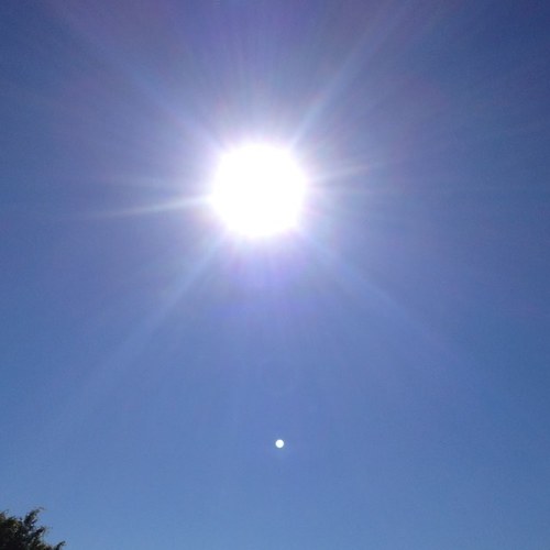 ManbokDaddy's profile picture. 그저 살징ㅛ