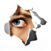 ניקי עשור (@newton7578) Twitter profile photo