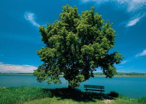 GoodSeedsDaily's profile picture. Christian thoughts, quotes, verses and music on a frequent basis.
 Retweet to encourage those who love Jesus and challenge those who don't know him yet.