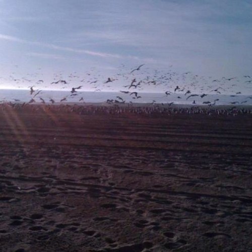 MsHollaBackAtYa's profile picture. 