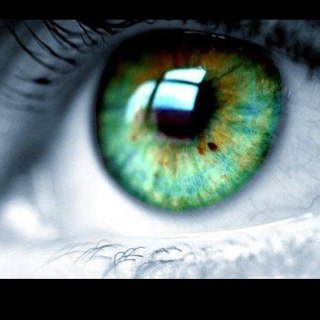 alvaradotania's profile picture. 