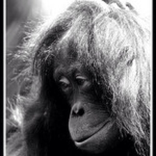 stro11er's profile picture. 