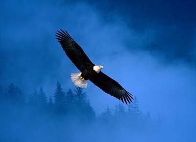 dAviD_rOdrI's profile picture. Estudios Pregrado: Universidad Central del Ecuador
Estudios Postgrado:Universidad Técnica Particular de Loja UTPL