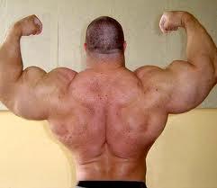 Helping average guys pack on muscle mass and get stronger through natural bodybuilding training and nutrition tips and advice