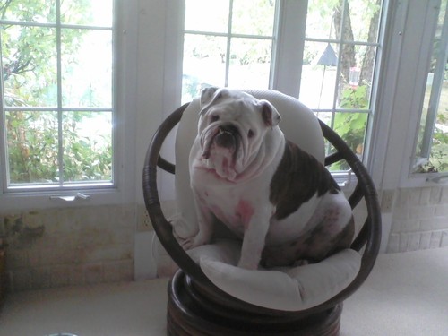 CalamityGrtchn's profile picture. 