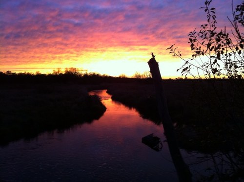 theguardian_Iam's profile picture. 