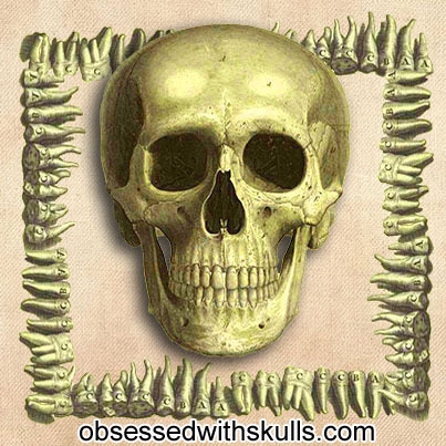 The world's largest variety of skull-related products in every imaginable category!