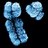 ChromosomeLover's profile image