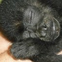 Tracy Underhill - @tracy_underhill - Twitter